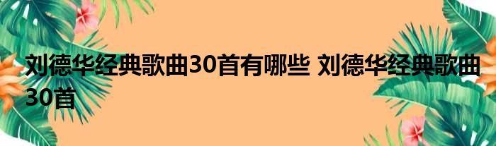 刘德华经典歌曲30首有哪些 刘德华经典歌曲30首