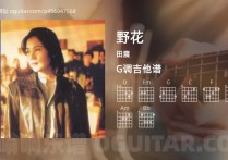 野花吉它谱,田震歌曲,G调高清图,5张六线简谱