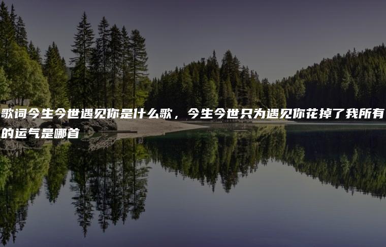 歌词今生今世遇见你是什么歌，今生今世只为遇见你花掉了我所有的运气是哪首