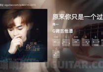 原来你只是一个过客吉它谱,玮一歌曲,G调高清图,5张六线简谱