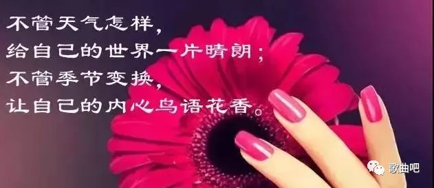 刘德华歌曲歌谱_我不是刘德华歌曲曲谱_刘德华歌曲曲谱是什么歌