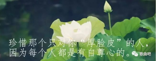 刘德华歌曲曲谱是什么歌_我不是刘德华歌曲曲谱_刘德华歌曲歌谱