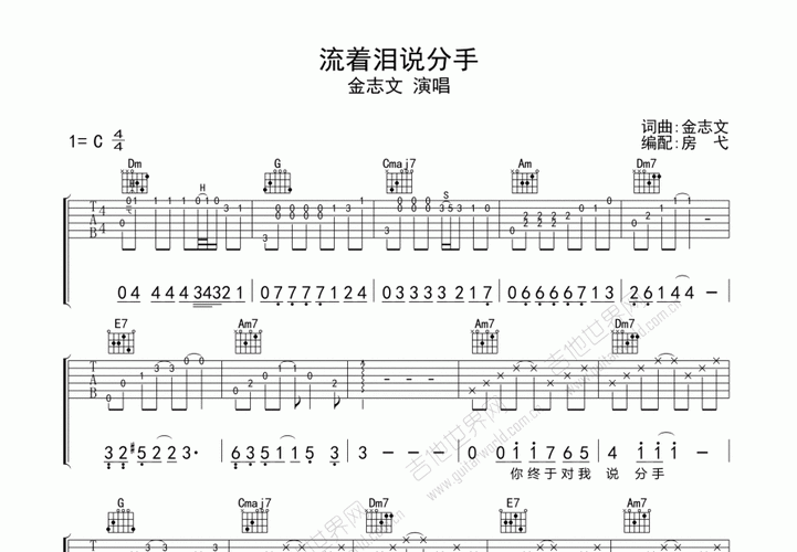 流着泪说分手吉他谱_金志文c调弹唱_房弋up - 吉他世界