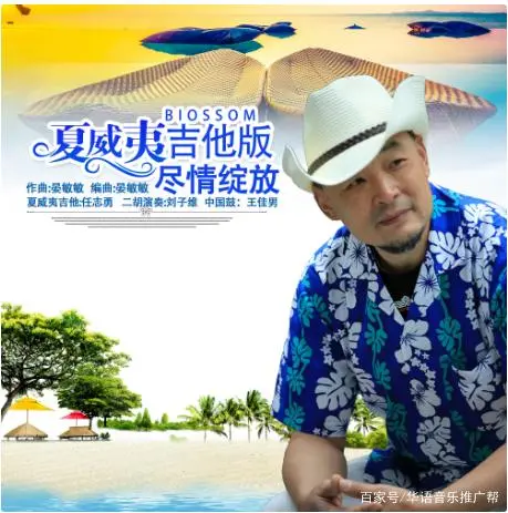 夏威夷吉他曲_夏威夷吉他演奏曲_夏威夷吉他名曲