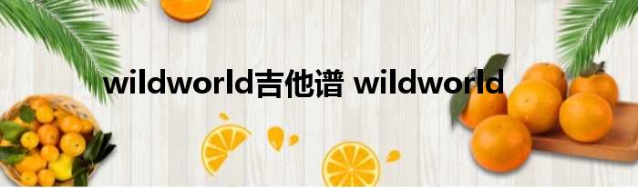 wildworld吉他谱 wildworld