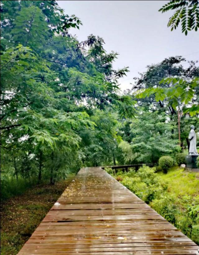 雨中漫步钢琴曲_雨中漫步钢琴演奏_雨中漫步钢琴教学视频