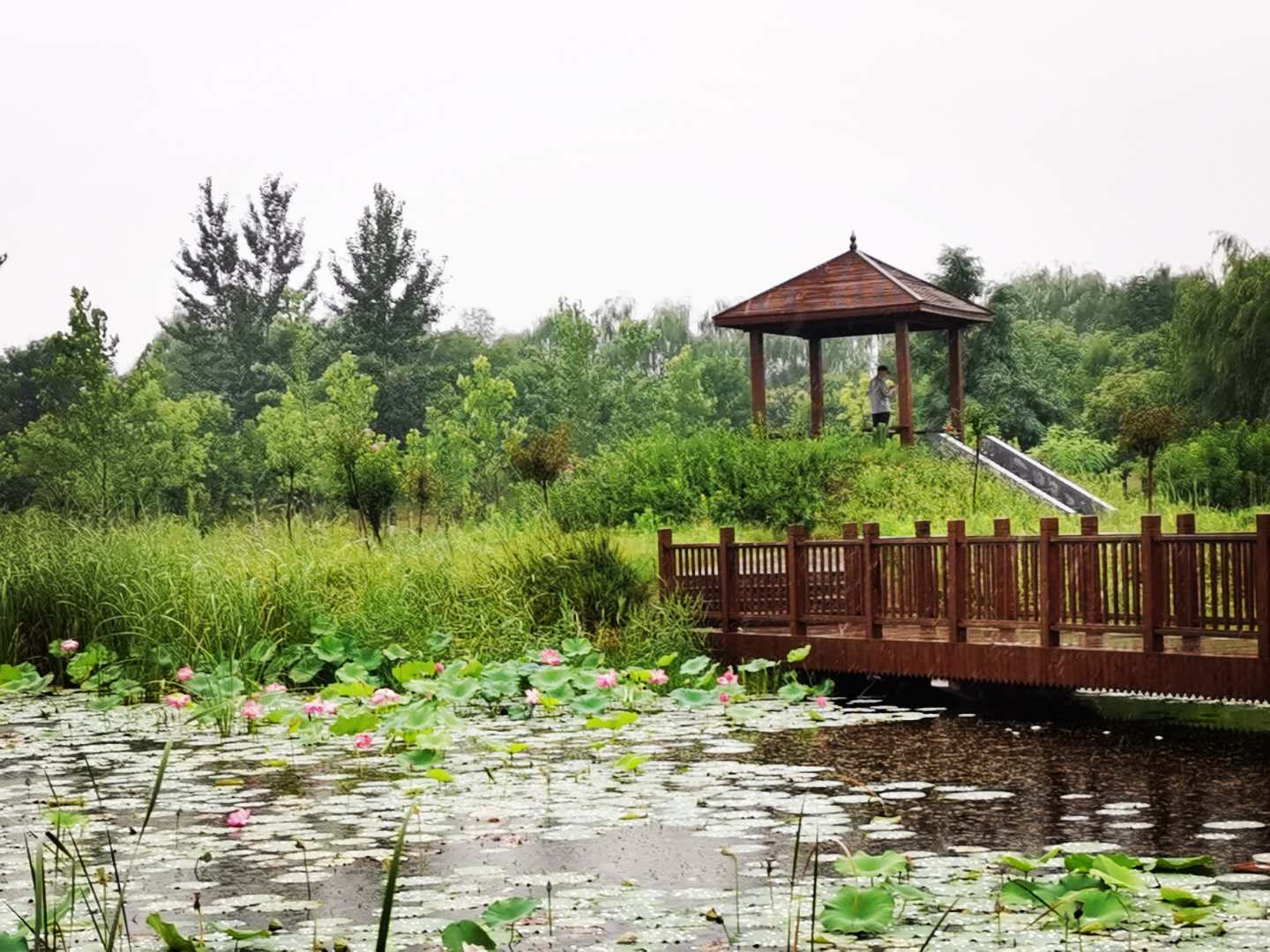 雨中漫步钢琴曲_雨中漫步钢琴教学视频_雨中漫步钢琴演奏