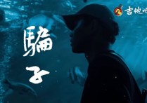 骗子吉他谱,文夫歌曲,C调高清图,革命吉他                                 六线简谱