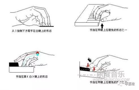 钢琴谱看谱技巧_钢琴谱看不懂_钢琴谱怎么看