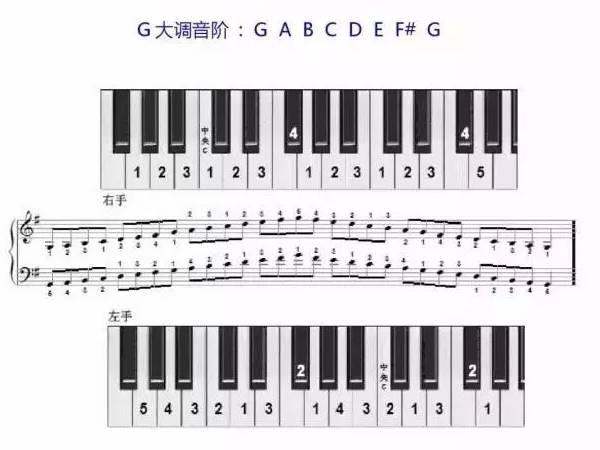 初学钢琴指法（钢琴指法口诀一览表）