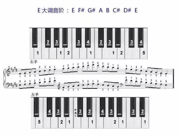 初学钢琴指法（钢琴指法口诀一览表）