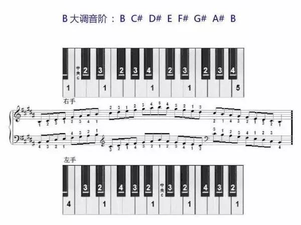 初学钢琴指法（钢琴指法口诀一览表）