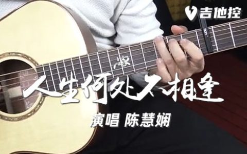 人生何处不相逢吉他谱,陈慧娴歌曲,C调简单指弹教学简谱,2张六线谱图片