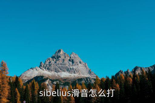 sibelius滑音怎么打