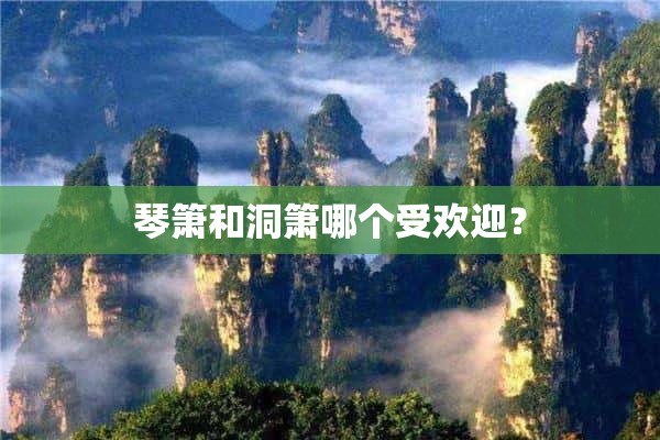 琴箫和洞箫哪个受欢迎？