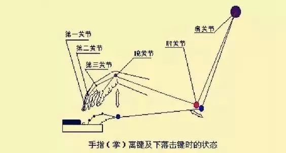 钢琴弹奏的指法视频_钢琴弹奏梦中的婚礼视频_钢琴连奏怎么弹