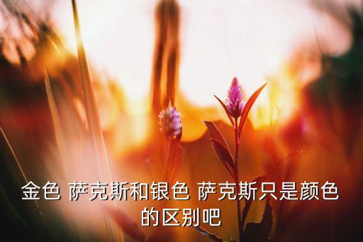 金色 萨克斯和银色 萨克斯只是颜色的区别吧