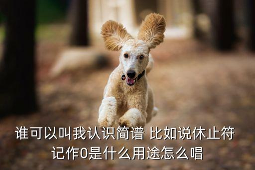 谁可以叫我认识简谱 比如说休止符 记作0是什么用途怎么唱