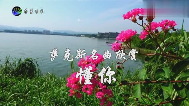 萨克斯独奏曲天边_萨克斯曲天边_天边萨克斯教学视频