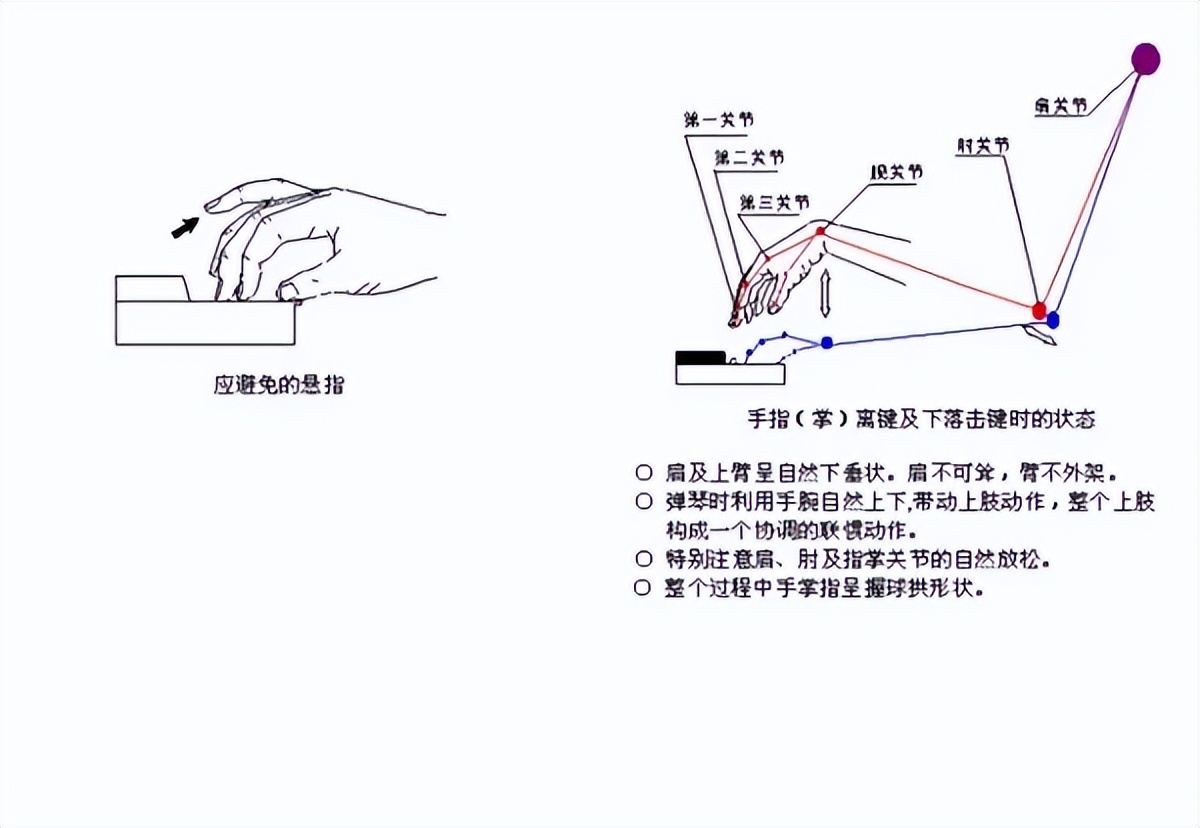 弹钢琴的指法入门教程_弹钢琴的好处有哪些_弹钢琴怎么弹