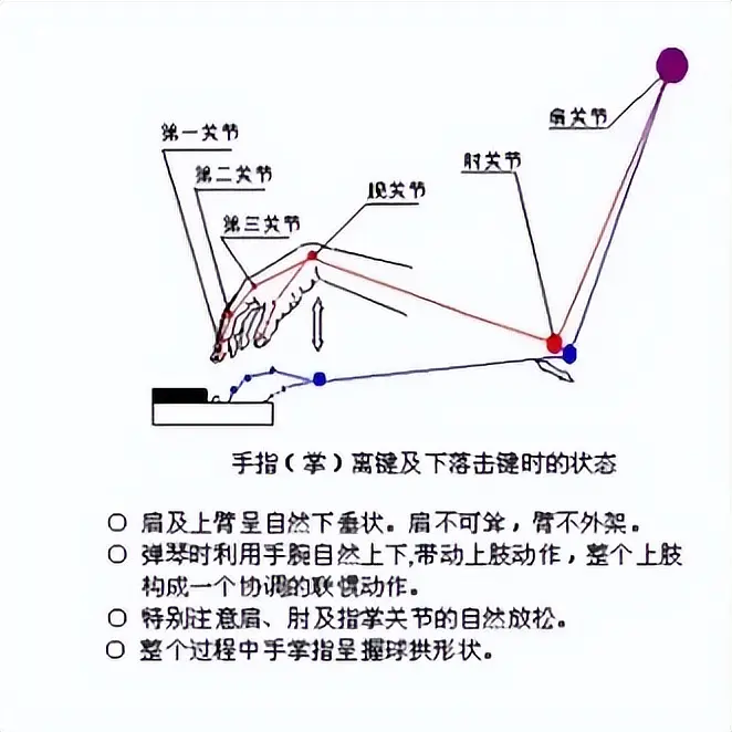 钢琴弹奏强弱_钢琴强弱弱怎么弹_钢琴强弱怎么弹