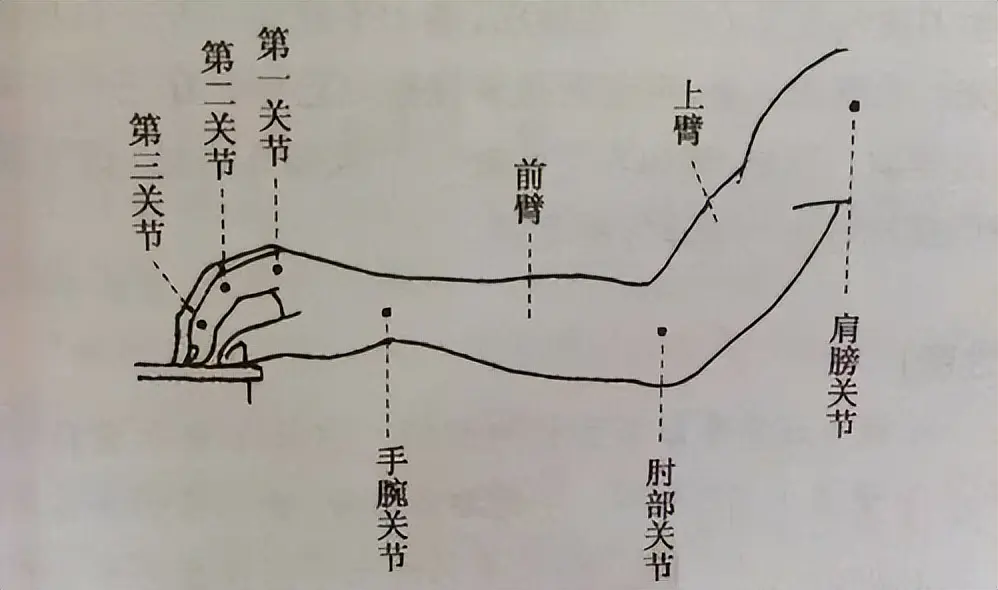 钢琴弹奏强弱_钢琴强弱弱怎么弹_钢琴强弱怎么弹