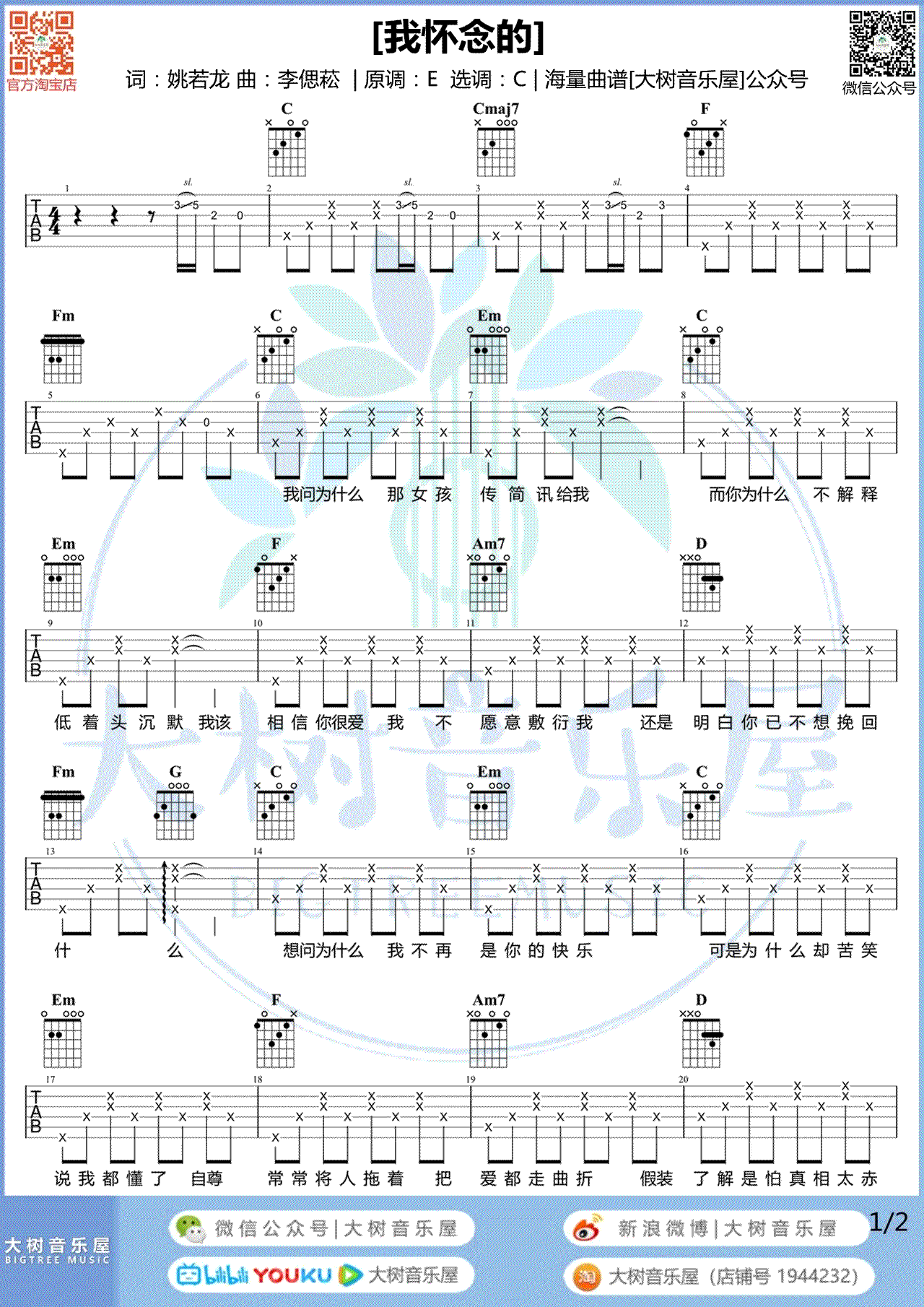 我怀念的吉他谱,姚若龙李偲歌曲,C调简单指弹教学简谱,大树音乐屋六线谱图片