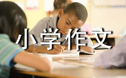 月光小学作文