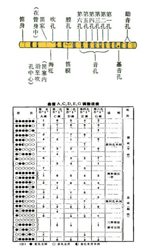 笛子指法f调_笛子指法普_笛子指法1234567怎么按