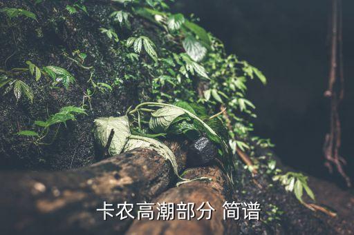  卡农高潮部分 简谱