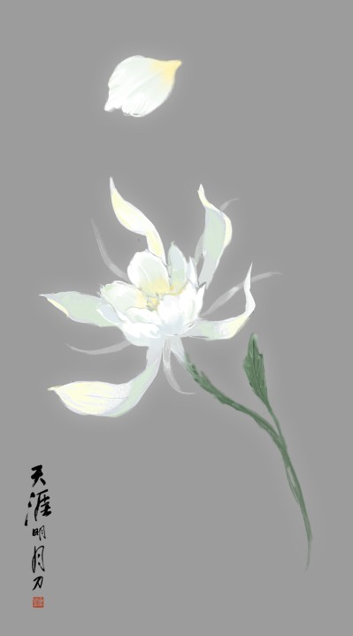 醉心花原画.jpg