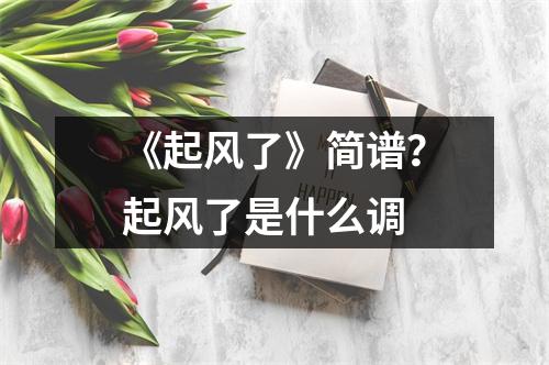 《起风了》简谱？起风了是什么调