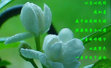 茉莉花(萨克斯音乐)