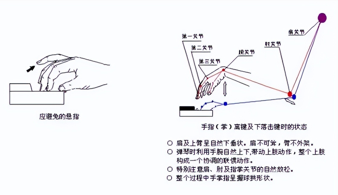 钢琴强弱怎么弹_钢琴弹奏强弱弹奏教学_强弱钢琴术语