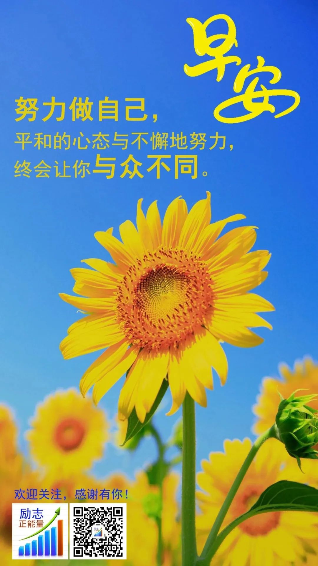 钢琴谱生日祝快乐怎么弹_钢琴谱生日快乐五线谱_祝你生日快乐钢琴谱