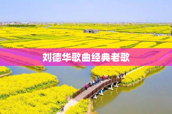 刘德华歌曲经典老歌