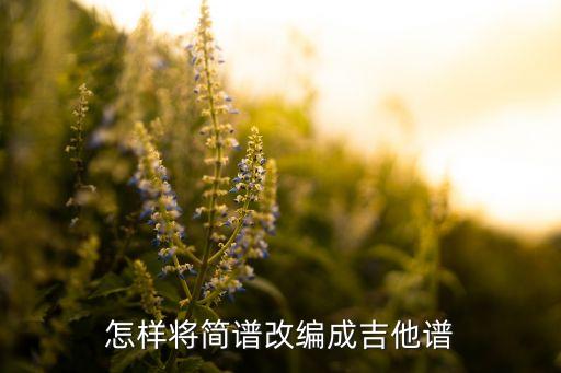 怎样将简谱改编成吉他谱