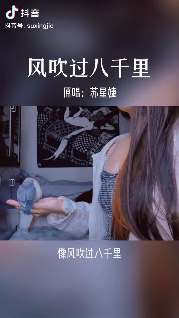 抖音热门歌曲笛子笛谱_笛子简谱抖音_笛谱100首简谱