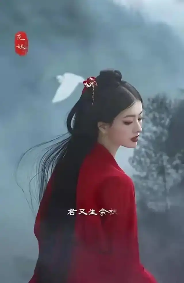 二胡爱情_最好听的爱情二胡曲_好听二胡曲爱情的歌曲