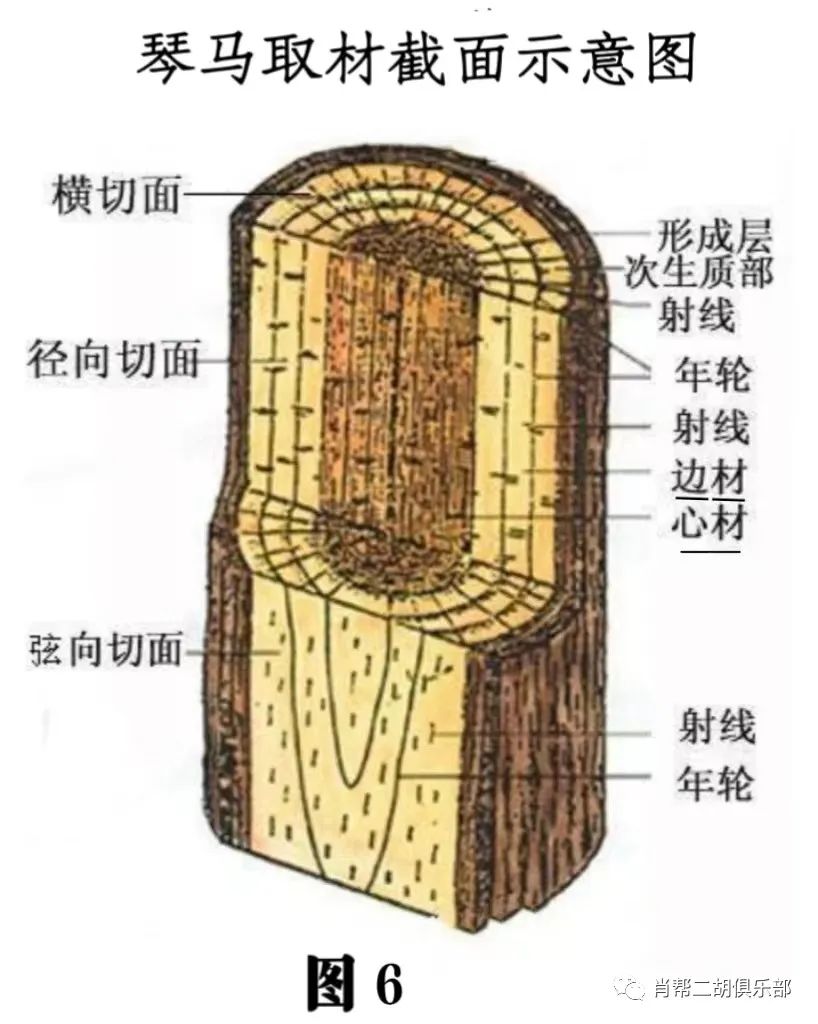 二胡调_二胡调音大师下载_二胡调音器-调音-定弦