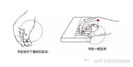 钢琴弹前奏还需要左手吗为什么_钢琴前奏怎么弹_弹钢琴的前奏