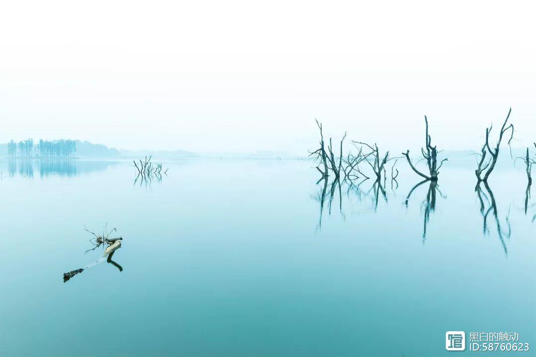 好听的钢琴简单旋律_好听的旋律怎么编钢琴曲_好听的旋律钢琴