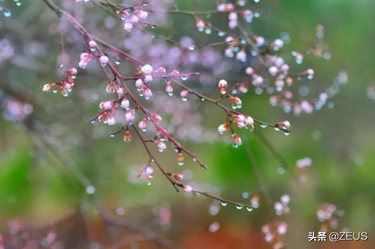 雨中漫步钢琴曲_雨中漫步钢琴曲4分钟左右_雨中漫步钢琴教学视频