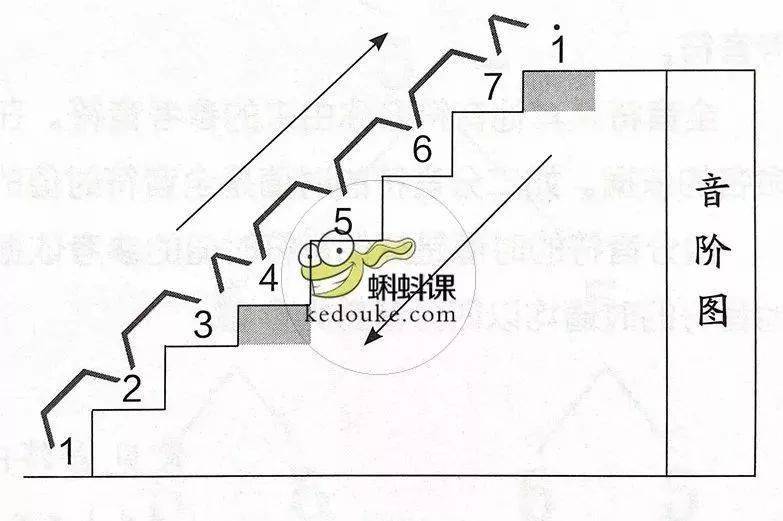 如何弹和弦尤克里里_尤克里里 和弦怎么弹_弹尤克里里和弦转换技巧