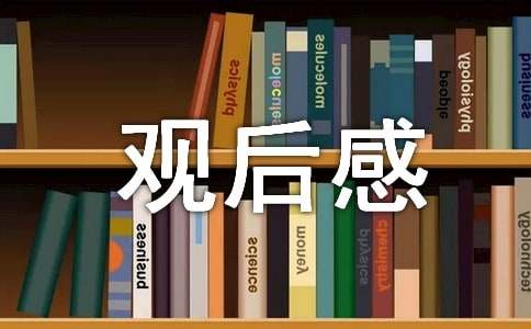 《士兵突击》观后感