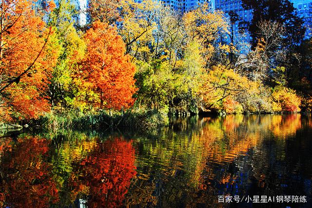 钢琴曲编号_钢琴曲编号代表什么意思_怎么编钢琴曲