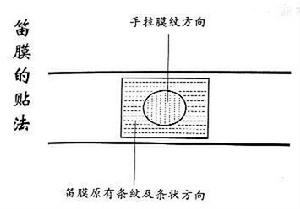 普笛子_笛子的吹法和指法_紫竹笛子和苦竹笛子