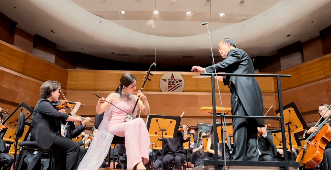 年会二胡曲表演可以唱吗_年会可以表演的二胡曲_年会二胡曲目