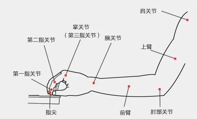 钢琴弹小星星_钢琴弹小星星怎么弹数字_小钢琴怎么弹