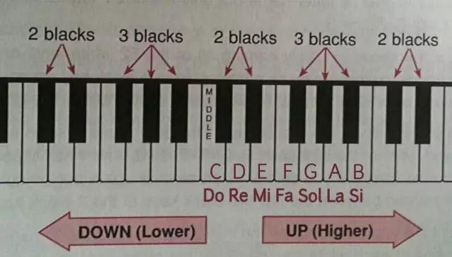 初学钢琴买什么钢琴好_初学笛子独奏曲谱_初学者钢琴曲谱